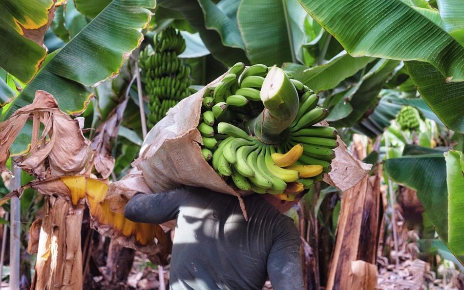 #guid-1d432420-5086-4356-b511-398db31c0c78