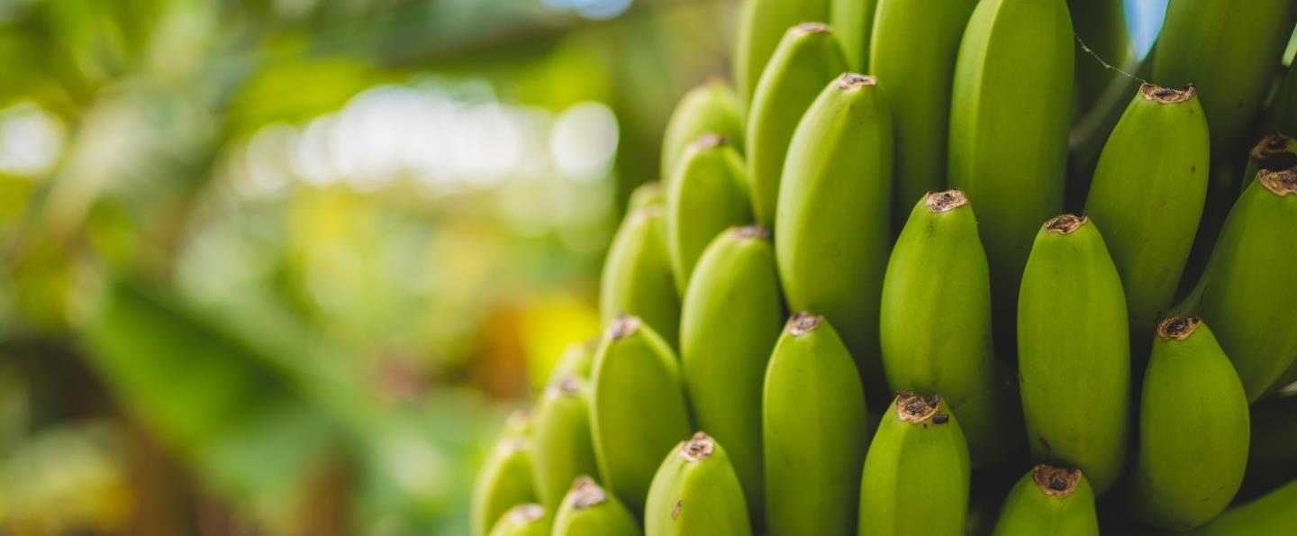 #guid-0a85310b-3969-4326-aeed-e9435ebca979