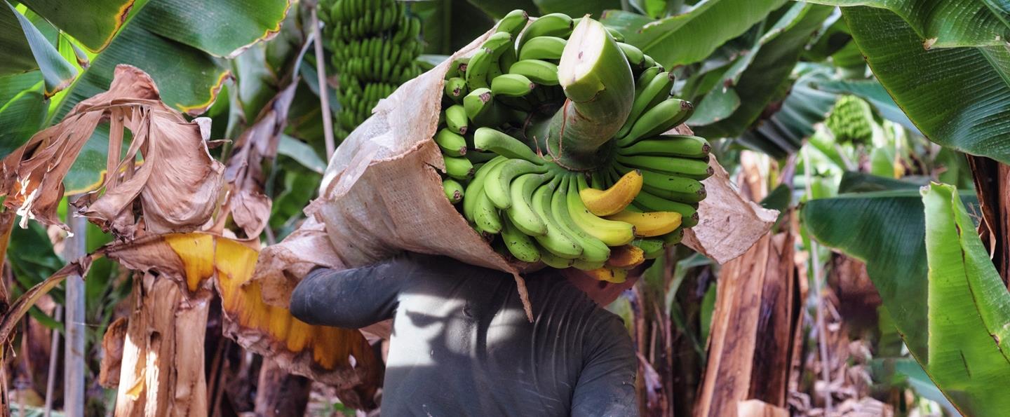 #guid-1d432420-5086-4356-b511-398db31c0c78