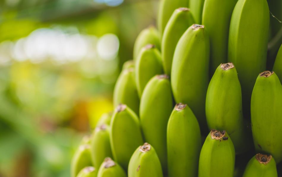 #guid-0a85310b-3969-4326-aeed-e9435ebca979